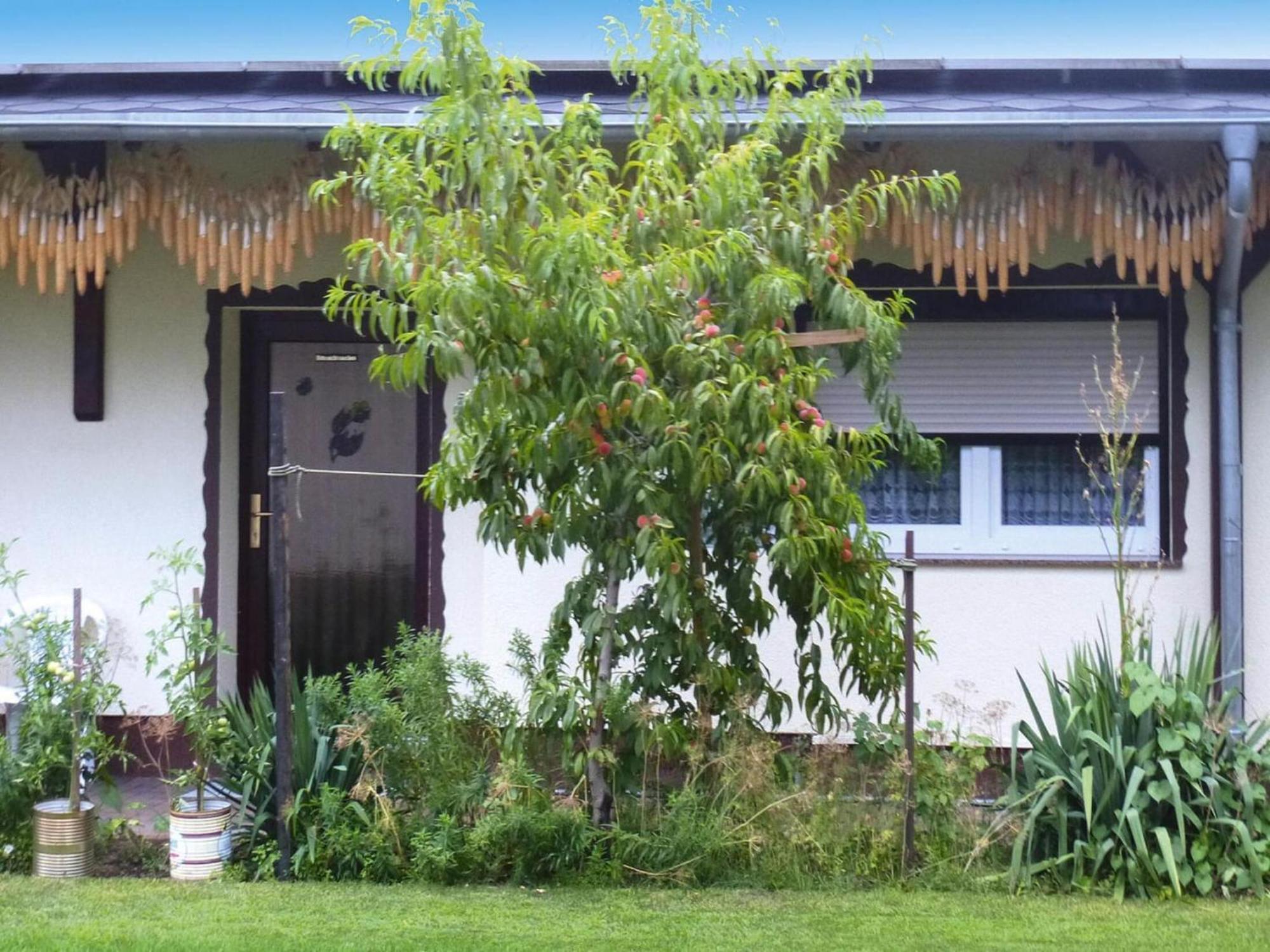 Bungalow In L Bben With A Terrace Lubben Luaran gambar